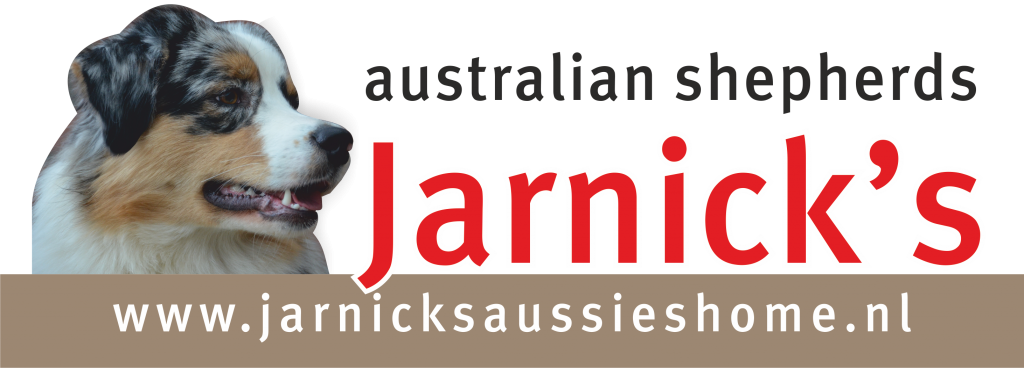 Jarnick's logo website